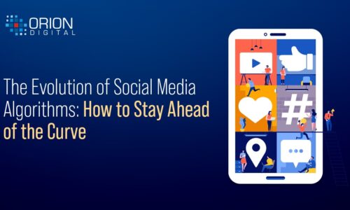 social media algorithms